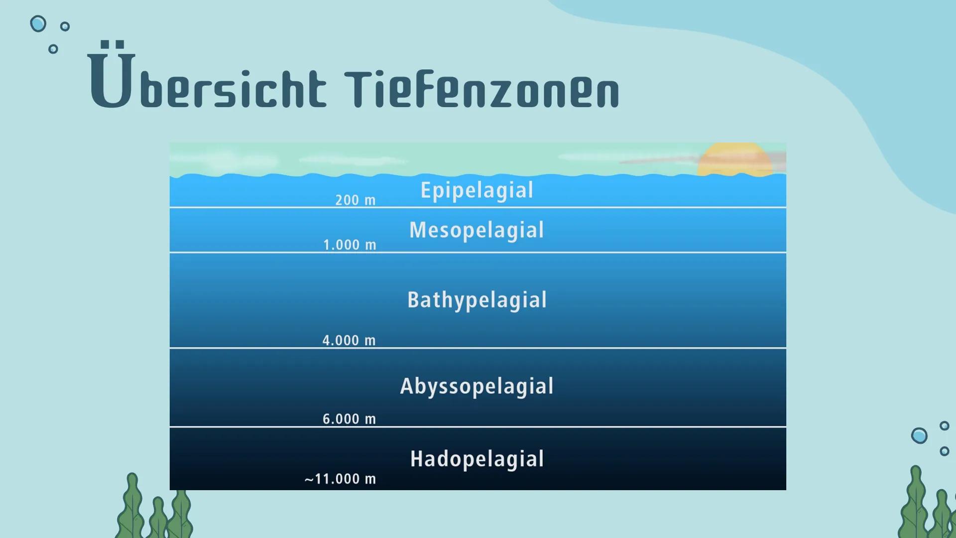 # Ökosystem
# Meer
Präsentation von Noemi Kirchner # Gliederung
01
Was ist ein Meer?
Definition, Teile des Meeres,
Kriterien
04
Relevanz