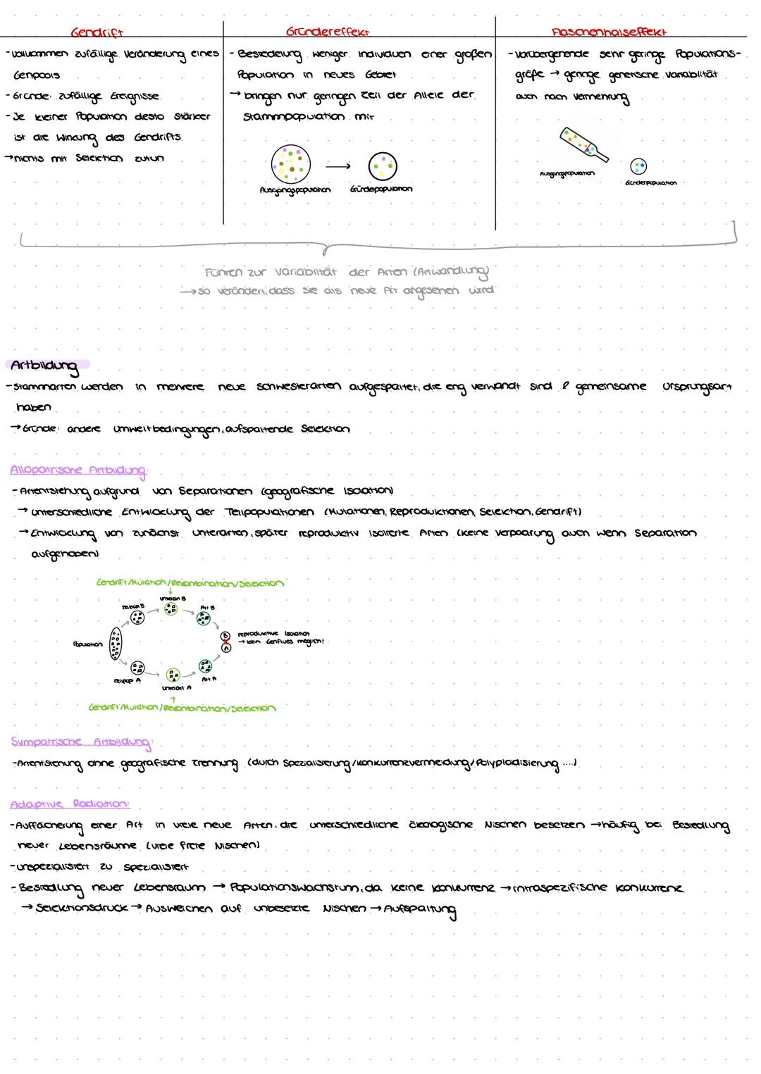 Gendrift
-voluammen zufällige. Veränderung eines
Genpools
- Grande zufällige Ereignisse
-Je leveiner Population desto Stäricer
ist die wi