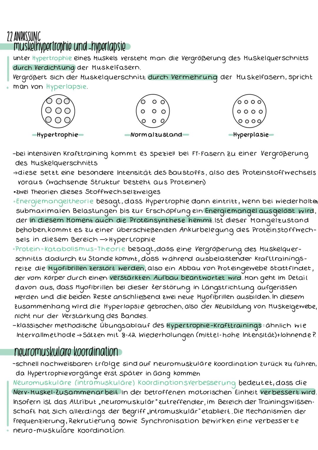 2. KRAFTTRAINING
2.1 KRAFTTRAINING
definition krafttraing
Kraft ist neben der Ausdauer die zweite bedeutende Säule des konditionellen Prof