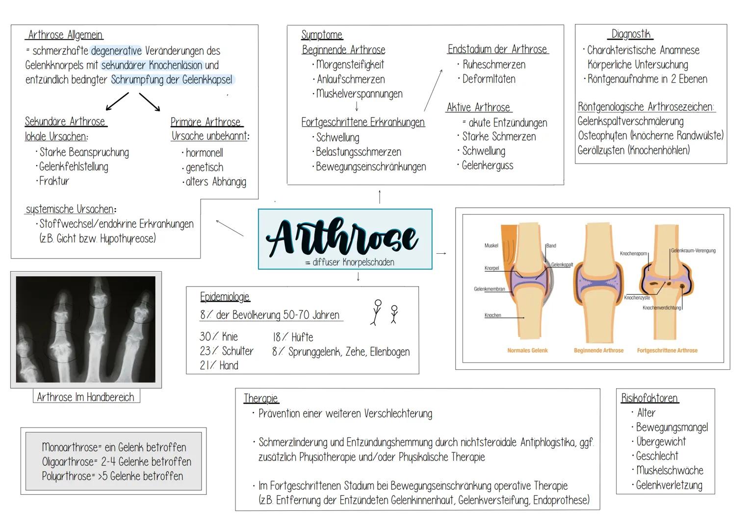 Arthrose Allgemein
* schmerzhafte degenerative Veränderungen des
Gelenkknorpels mit sekundärer Knochenläsion und
entzündlich bedingter Schru