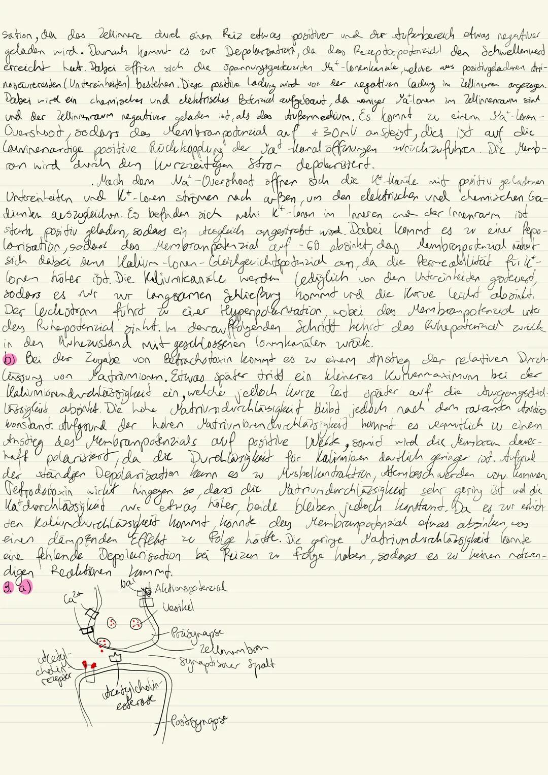 Neurobiologie
Name:________________________________________________________________________________________________________________________