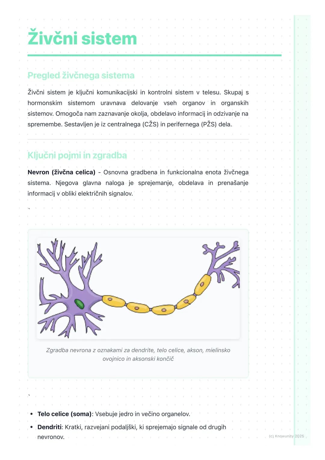 # Živčni sistem
Pregled živčnega sistema
Živčni sistem je ključni komunikacijski in kontrolni sistem v telesu. Skupaj s
hormonskim sistemo