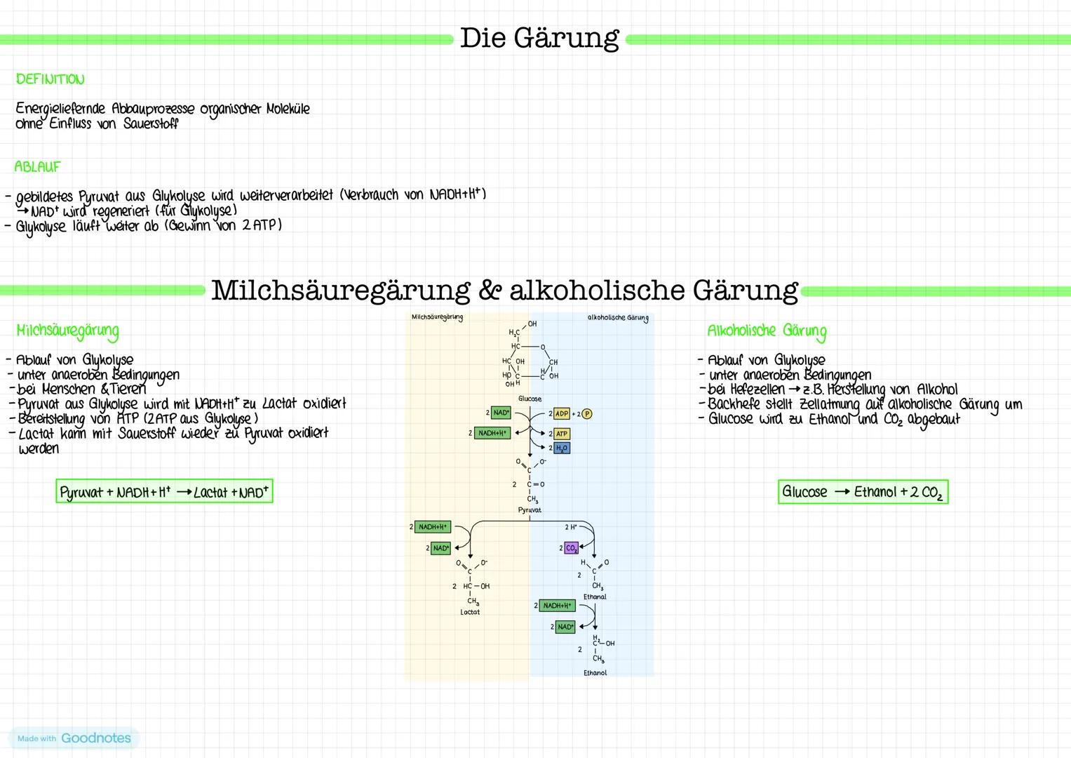 # Die Gärung
## DEFINITION
Energieliefernde Abbauprozesse organischer Moleküle
ohne Einfluss von Sauerstoff
## ABLAUF
- gebildetes Pyruvat