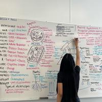 user profile picture