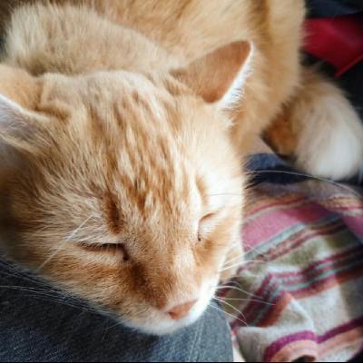 user profile picture