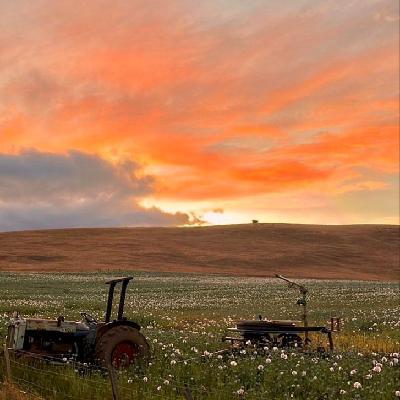 user profile picture