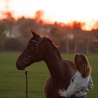 user profile picture