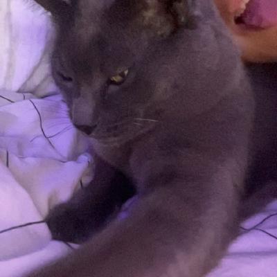 user profile picture