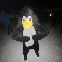 user profile picture