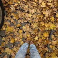 user profile picture