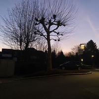 user profile picture