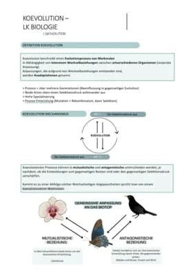 Koevolution einfach erklärt: Räuber-Beute-Beziehung & Symbiose ...