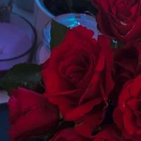 Einfach erklärt Freier Fall Formeln und Beispiele mit Luftwiderstand